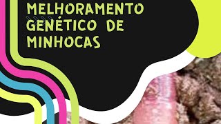 # MELHORAMENTO GENÉTICO DAS MINHOCAS