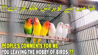 کیا میں نے لوبرڈس ختم کر دے؟؟  | KIYA MENE LOVEBIRDS KHATAM KR DIYE? | AA BIRDS INFORMATION