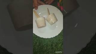 coconut Popsicle #ytshorts #summerdrink #popsicle #summervibes #summerspecialdrinks #youtubeshorts