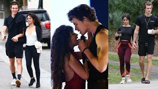 Perfect Couple || Camilla Cabello And Shawn Mendes Romantic Moment