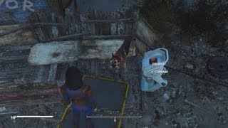 Fallout 4 - Why I leave Dogmeat at home.