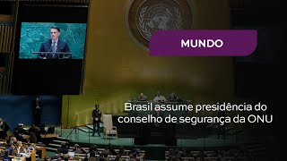 Brasil assume presidência do conselho de segurança da ONU