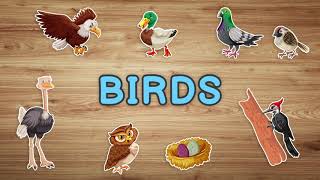 Birds Vocabulary in English