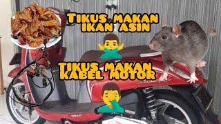 USUS BUNTU!!! JANGAN SAMPAI MOTOR KALIAN SEPERTI INI GENG #otomotif