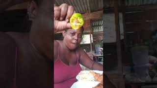 eating a big scotch bonnet pepper with my lunch 😋 check out my YouTube channel for full video 😋🌶🌶💯🇯🇲