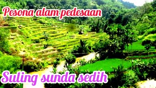 SUASANA ALAM PEDESAAN KECAMATAN MANGUNREJA TASIKMALAYA.SULING SUNDA SEDIH.