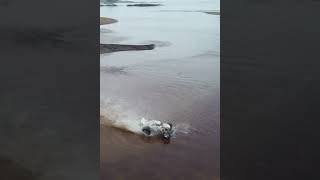 Traxxas Rustler hydroplaning #shorts