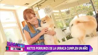 NIETOS PERRUNOS DE LA URRACA CUMPLEN UN AÑO