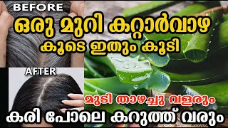 വെറുതെ ഒന്ന് തൊട്ടാൽ ഇത്ര ശക്തിയോ../alovera hair care /poppy happy vlogs/malayalam