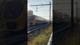 #treinleven #grijzeneusvirm VIRM vertrek uit Middelburg