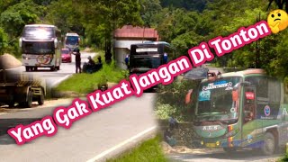 Terjadi Lagi Kejar Kejaran Kali ini Npm Di Kejar Transporr||Ans Dan Als Ngeblong Sangat Parah!!!