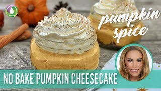 Pumpkin Cheesecake Recipe Protein Treats By Nutracelle