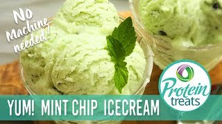 Sugar free High Protein Ice Cream Recipe-Protein Treats by Nutracelle