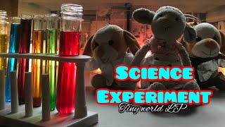 Science Experiment | Fun lab activity for school students | Tinyworld LP