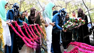 Activities of Dr. Ghazala Qadri on the 9th Anniversary of the Model Town Massacre