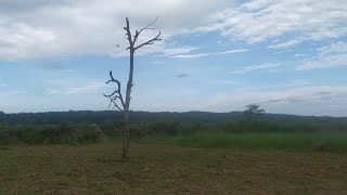 Tadi ma Aja Ramilo Gardai || Sindhuli,Tadi, Dudhauli