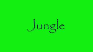 Jungle