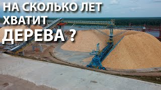 Экологическая катастрофа - Влияние Вырубки лесов и Агро ферм