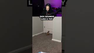 Dog sounds like a squeaky toy #pablo #pablovintura #trending #viral