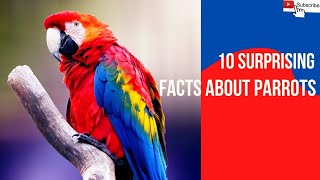 10 Surprising Facts about Parrots