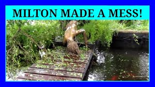 FISHBITE: We Made It Through Hurricane Milton! The damage report on our koi ponds.