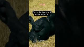 Nel sorriso sincero che si accende negli occhi #cane #animali #saggezza #frasedelgiorno