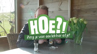 Hoe zorg je voor een lekker eitje van je kip? | HOE?! | Welkoop