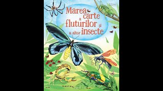 Cum să Explorezi Lumea Fascinantă a Insectelor | Marea Carte a Fluturilor și Altori Insecte