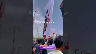 4 Shaban Wiladat Ghazi Abbas Alamdar a.s  WhatsApp Status #4shaban #molaabbas #shorts #shiastatus