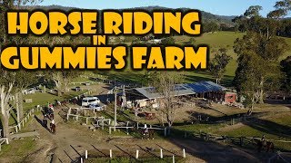 HORSE RIDING AT GUMMIES FARM - BRISBANE AUSTRALIA