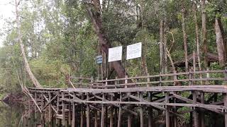 Tanjung puting national park at Camp leakey #indonesia_orangutan_tours  #tanjungputingnationalpark #