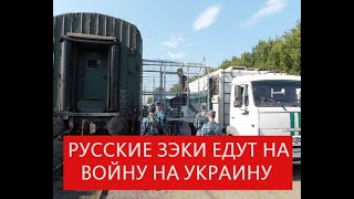 ЗАКЛЮЧЕННЫХ РФ ВЕРБУЮТ СЕГОДНЯ НА ВОЙНУ! Сейчас! Подписывайтесь на канал!