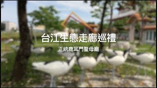 【協園山水景觀．設計】台江生態走廊巡禮｜正統鹿耳門聖母廟