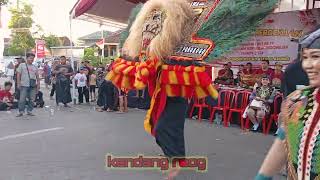 BERBAHAYA PEMBARONG DADAK MERAK REOG PONOROGO SAMPAI GIGINYA COPOT #dadakmerak #reogponorogo