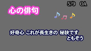 5月9日火曜日　「心の俳句」　友蔵みたいなやつねｗ　税務署が　見える窓辺で　ボロを着て