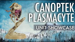 Showcase Painting reference Canoptek Plasmacyte of Khepri Dynasty Necrons Warhammer 40K