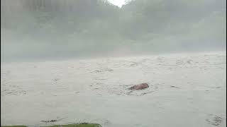 Flood in Mrsyandi River.  marsyangdi river ll marsyandi ma badhi ll