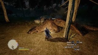 Dragon's Dogma: Dark Arisen - Pawn 4