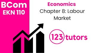 Economics | EKN 110 | Chapter 8: Labour Market by 123tutors