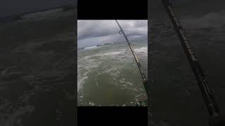 Garrado na Guaricema - Rock Fishing #shorts