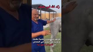 طريقة التعامل مع الديدان الدبوسية في الخيل