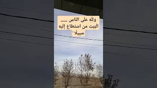 ١١ ديسمبر، ٢٠٢٤