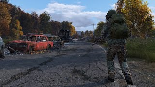 Survivor Perspective - DayZ