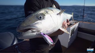 The Most Versatile Stick-Bait: Nomad Madscad