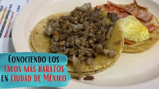 ¿Los tacos más BARATOS de MÉXICO?💸 Conociendo la Taquería los Pericos🌮🦜