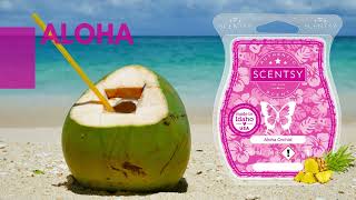 Aloha Orchid Scentsy Bar Scentsy Was Bar Reviews