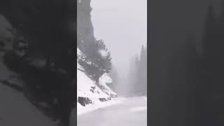 Kashmir snow fall