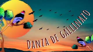 Hola soy Ester - Capítulo 5 - Danza de gallinazo 🦅