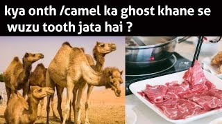 Kya Oath /Camel Ka Ghost Khane Se Wudoo Tooth Jata Hai ?(Speaker Juveria Ahmad)