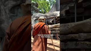 🔴Ta prahm cambodia #sadhguru_wisdom #sadhgurufansclub #sadhguruenglish #sadhgurulite #sadhguruspot